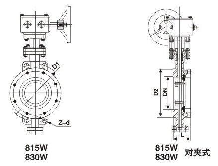 D371W美标(biao)對夾式(shi)蝶閥